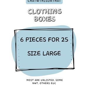 Women's Clothing Bundle Box - 6 Pieces LG For $25